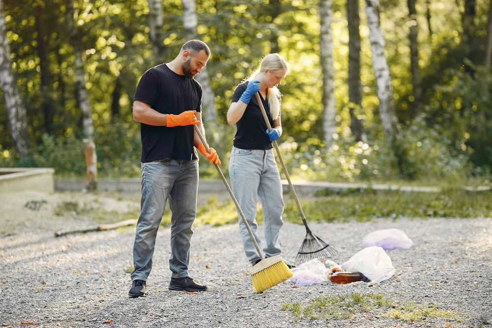 Professional needle sweep cleaning service